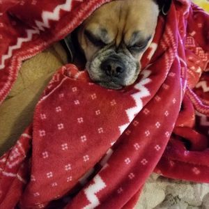 Meet your Posher, Edith